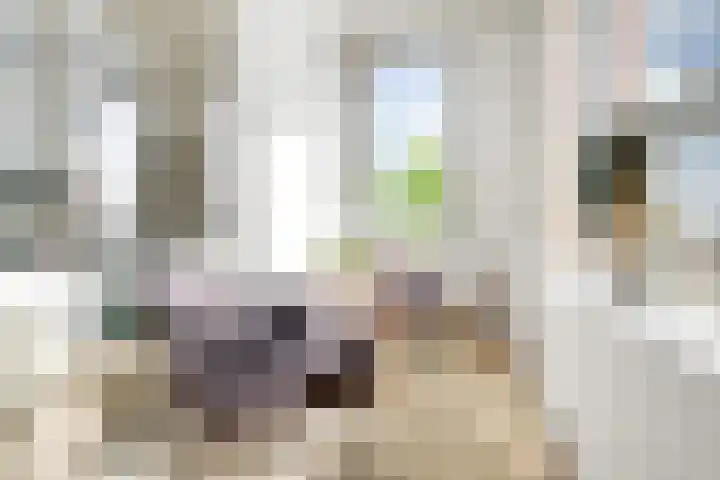 Mooienhof 10 62 Enschede thumbnail 22