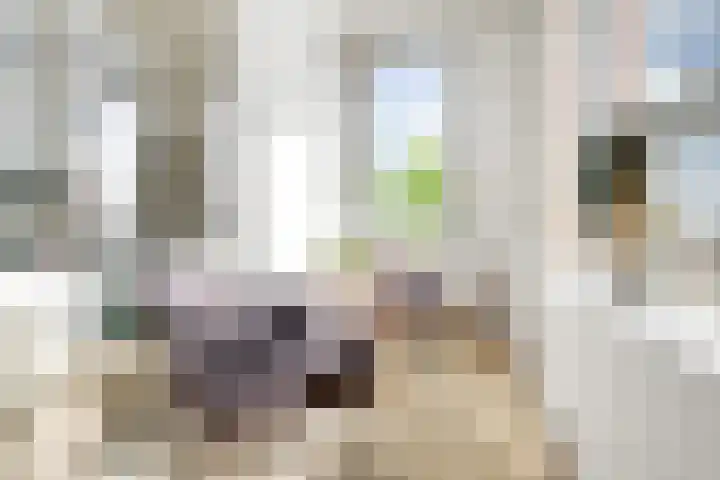 Mooienhof 10 62 Enschede thumbnail 23