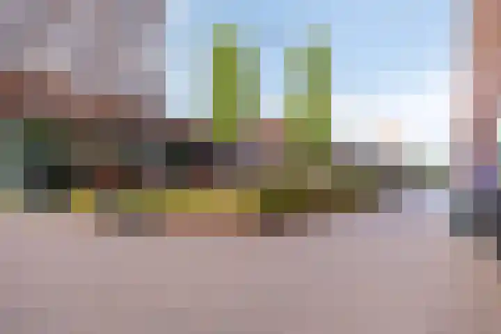 Mooienhof 10 62 Enschede thumbnail 32