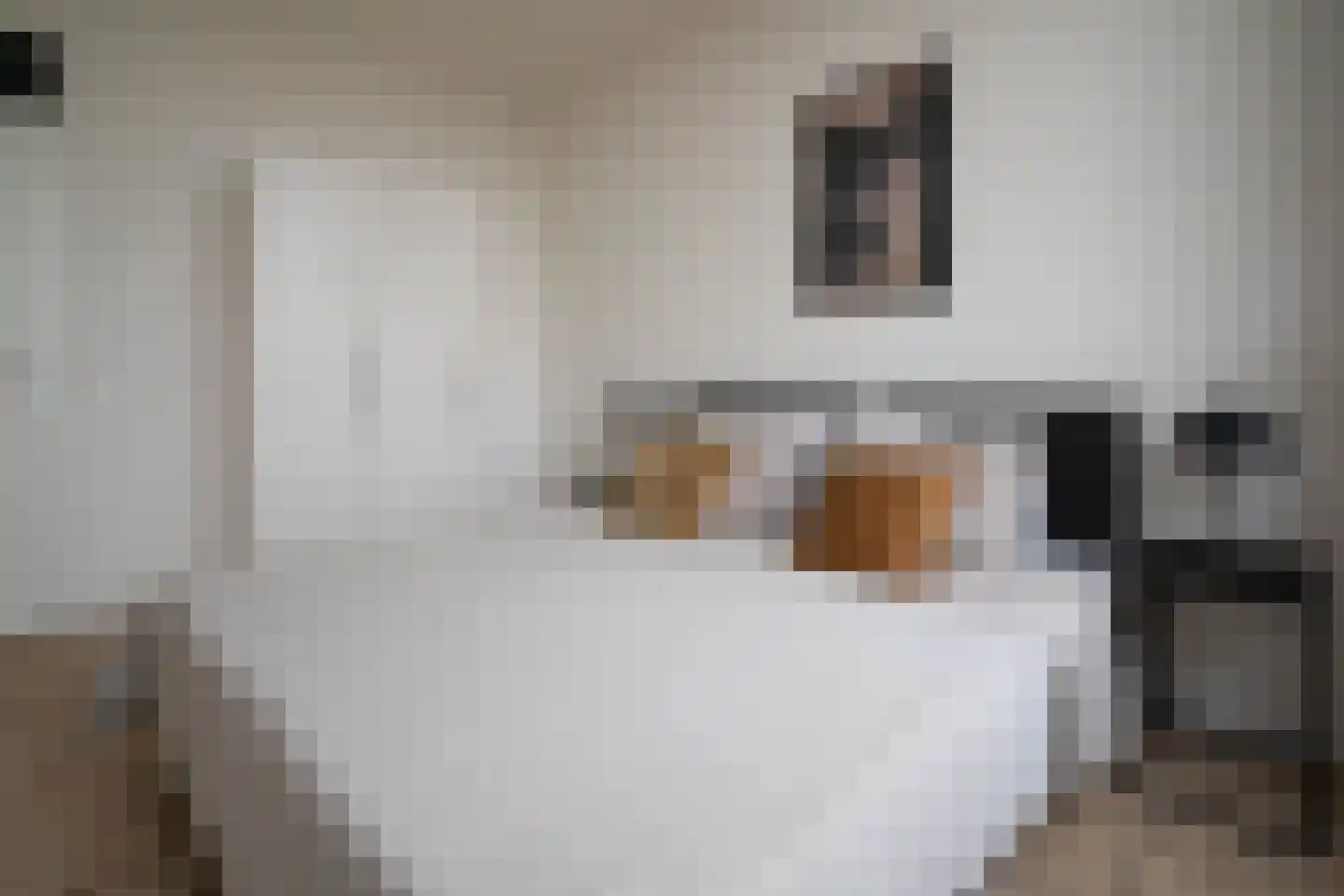 Mooienhof 10 94 Enschede thumbnail 30