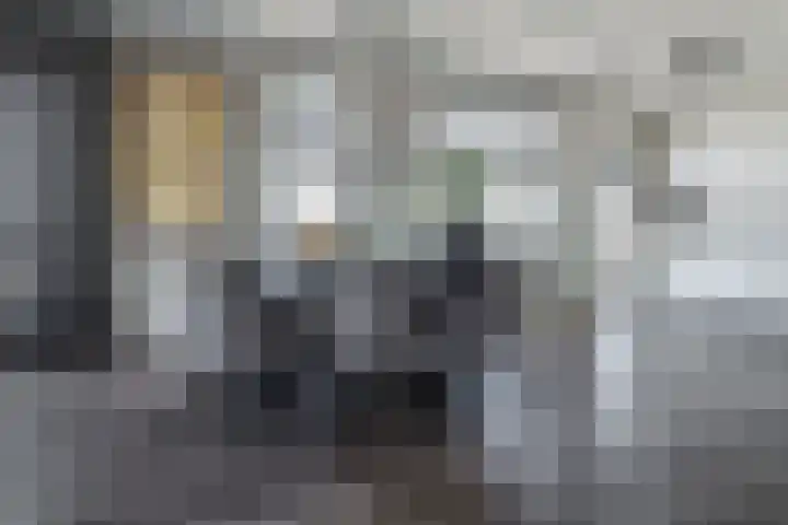 Mooienhof 123 Enschede thumbnail 4
