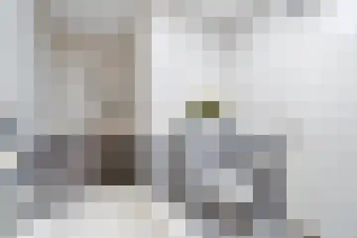 Mooienhof 9 Enschede thumbnail 31