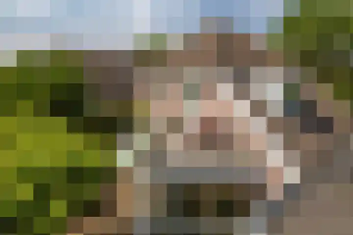 Mooieweg 174 Arnhem thumbnail 41