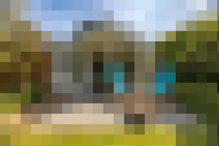 Mooieweg 174 Arnhem thumbnail 51