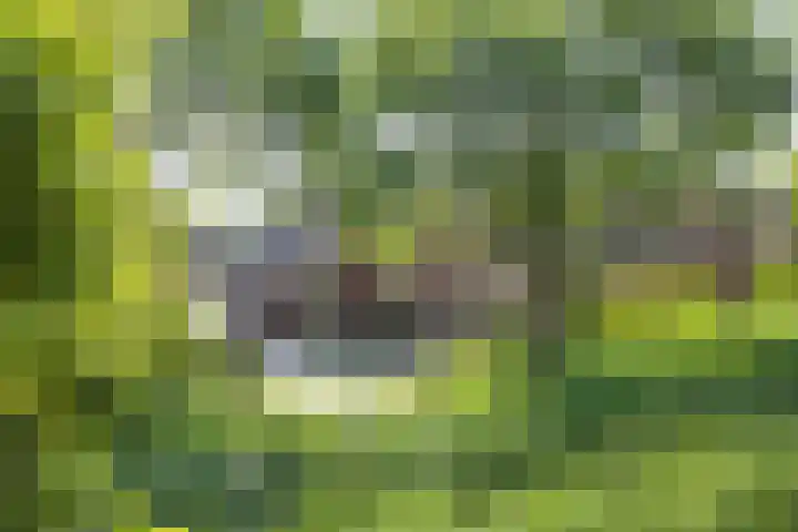 Mooieweg 174 Arnhem thumbnail 6