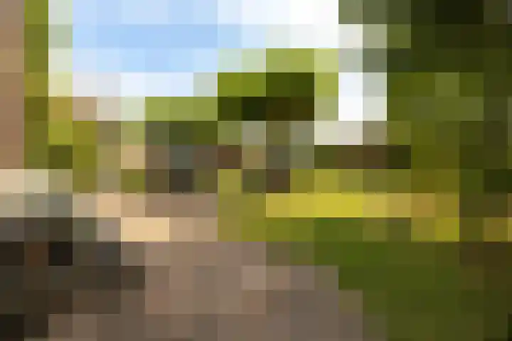 Mooieweg 174 Arnhem thumbnail 60