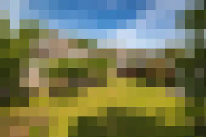 Mooieweg 174 Arnhem thumbnail 62