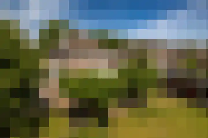 Mooieweg 174 Arnhem thumbnail 63