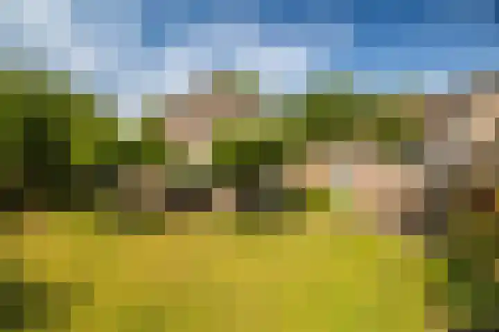 Mooieweg 174 Arnhem thumbnail 64