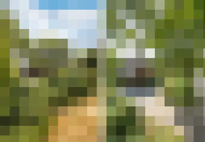 Mooieweg 174 Arnhem thumbnail 65