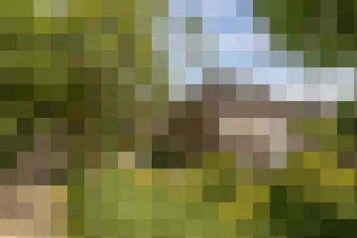 Mooieweg 174 Arnhem thumbnail 67