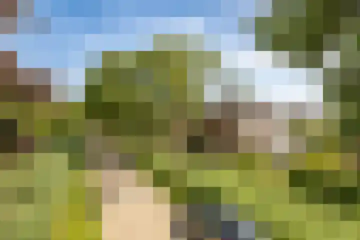 Mooieweg 174 Arnhem thumbnail 68