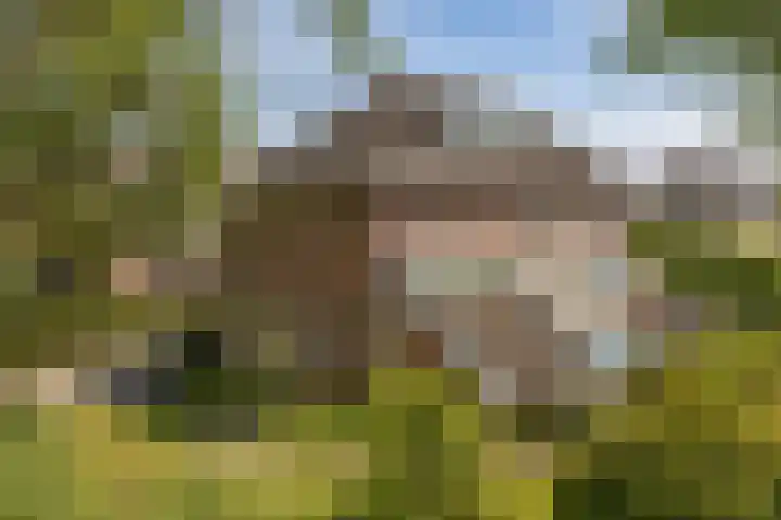 Mooieweg 174 Arnhem thumbnail 7