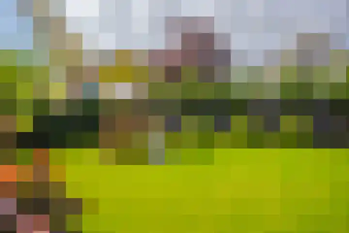 Mooieweg 176 Arnhem thumbnail 33