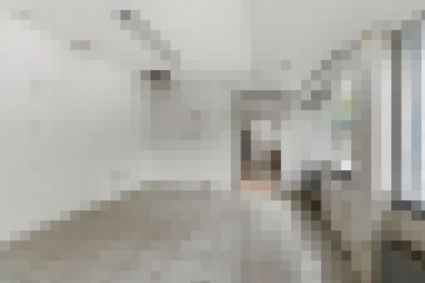 Mooieweg 2 Arnhem thumbnail 31