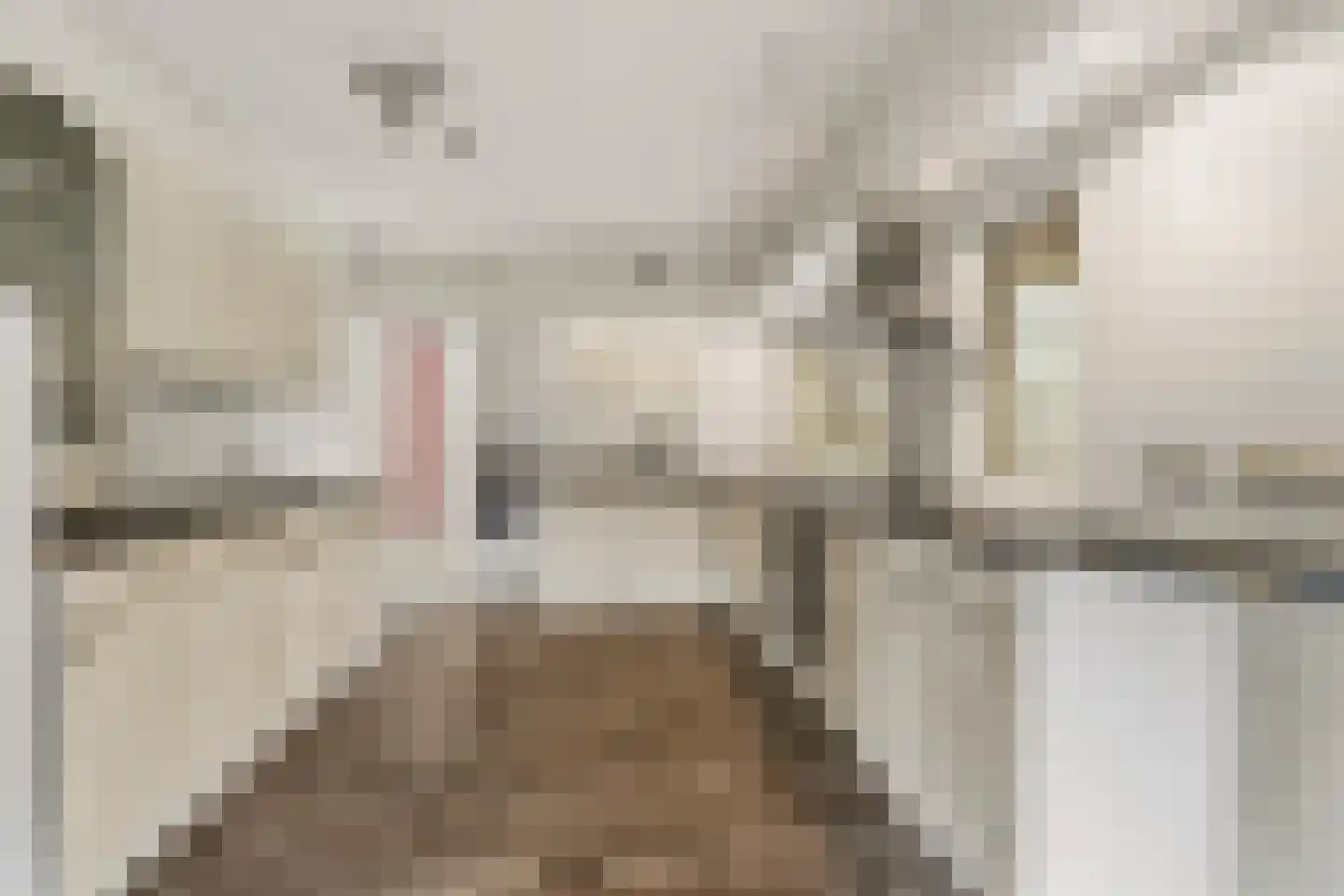 Mooieweg 2 Arnhem thumbnail 8