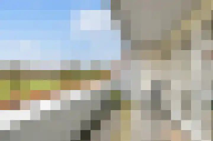 Mooieweg 232 Arnhem thumbnail 25