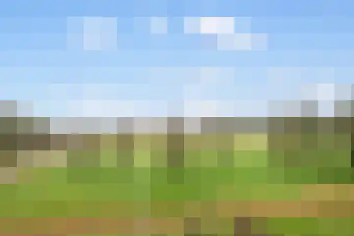 Mooieweg 232 Arnhem thumbnail 27