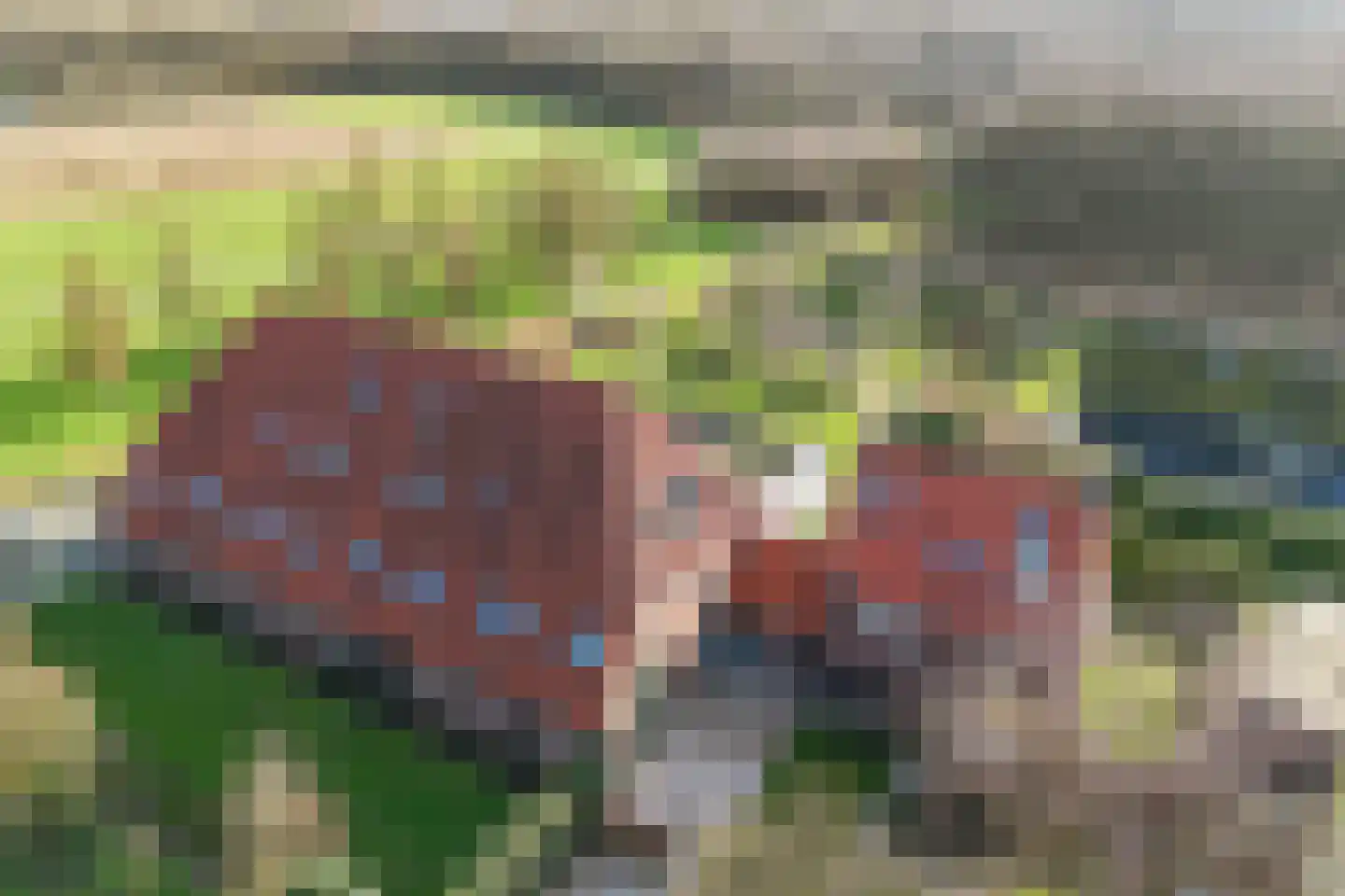 Mooieweg 232 Arnhem thumbnail 29