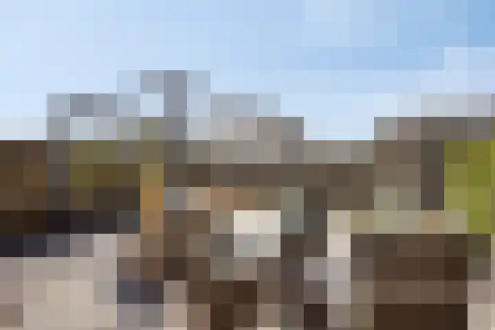 Mooieweg 236 Arnhem thumbnail 17