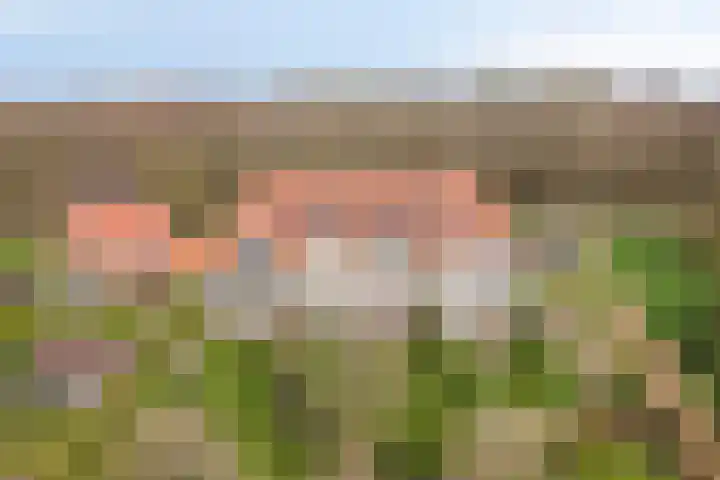 Mooieweg 236 Arnhem thumbnail 29