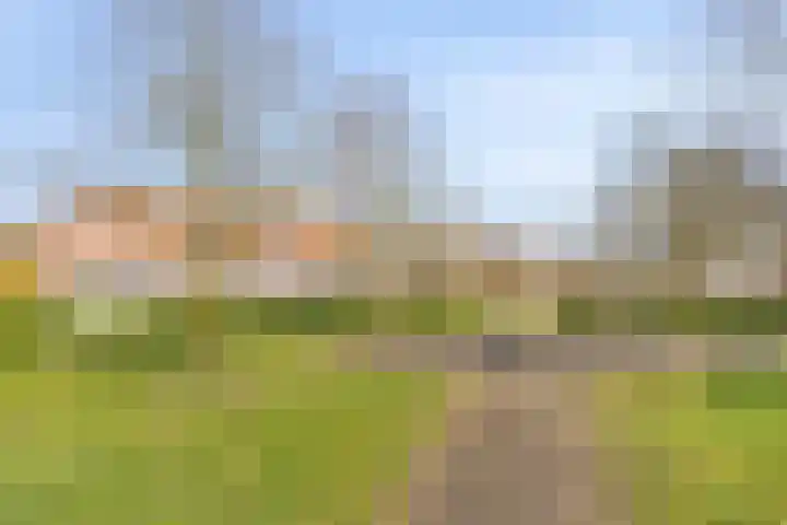 Mooieweg 236 Arnhem thumbnail 30