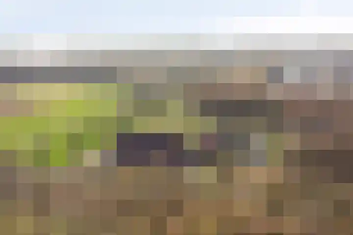 Mooieweg 236 Arnhem thumbnail 31