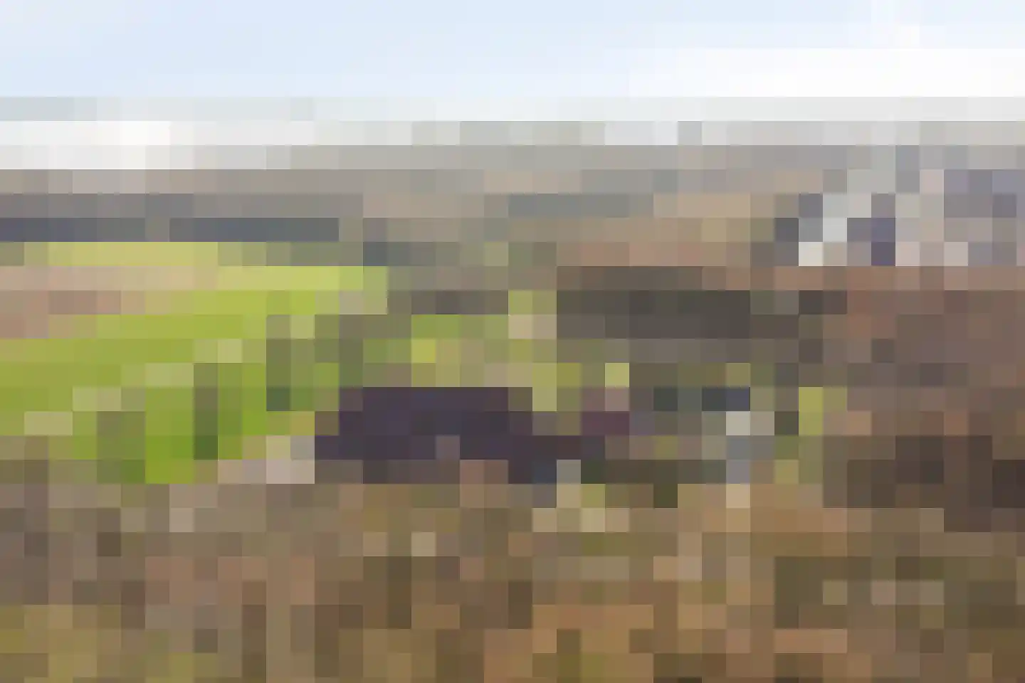 Mooieweg 236 Arnhem thumbnail 31