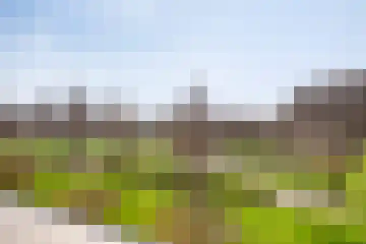 Mooieweg 236 Arnhem thumbnail 32