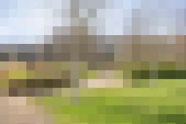 Mooieweg 236 Arnhem thumbnail 33
