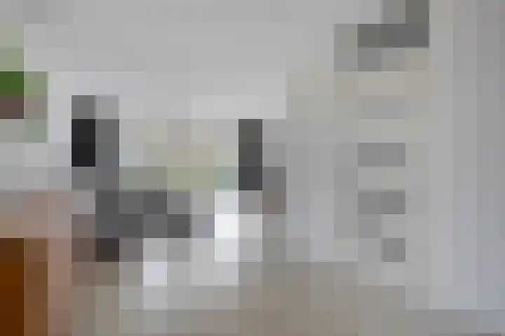 Mooiland 12 Groningen thumbnail 13