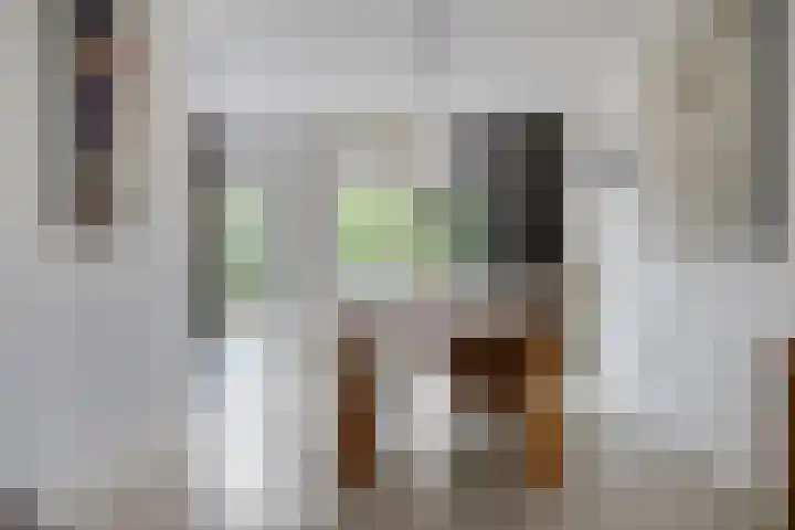 Mooiland 12 Groningen thumbnail 18