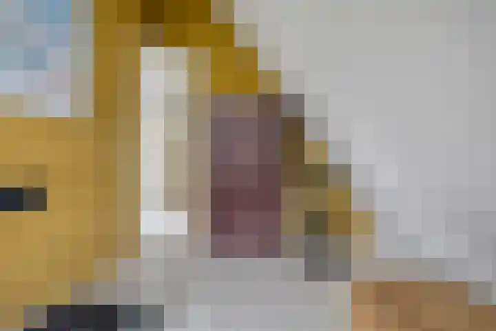 Mooiland 12 Groningen thumbnail 36
