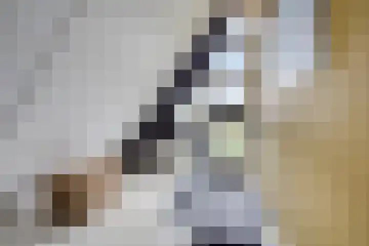 Mooiland 12 Groningen thumbnail 37