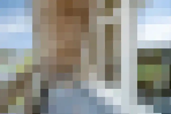 Mooiland 12 Groningen thumbnail 42