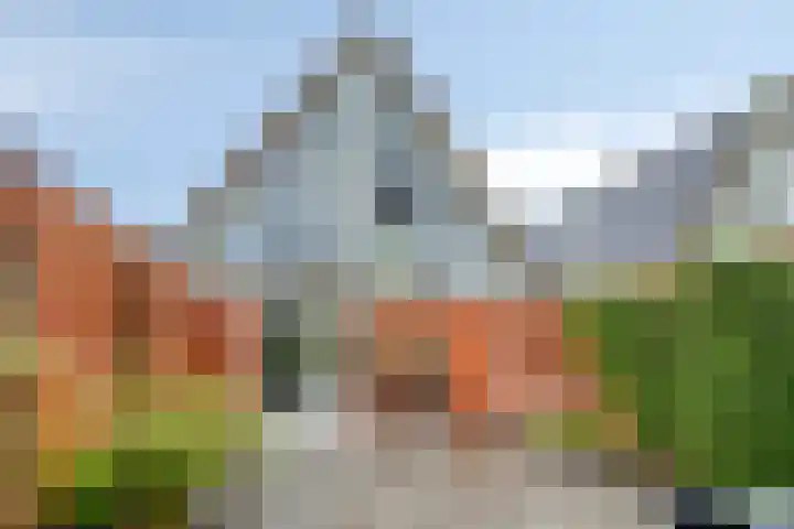 Mooiland 12 Groningen thumbnail 49