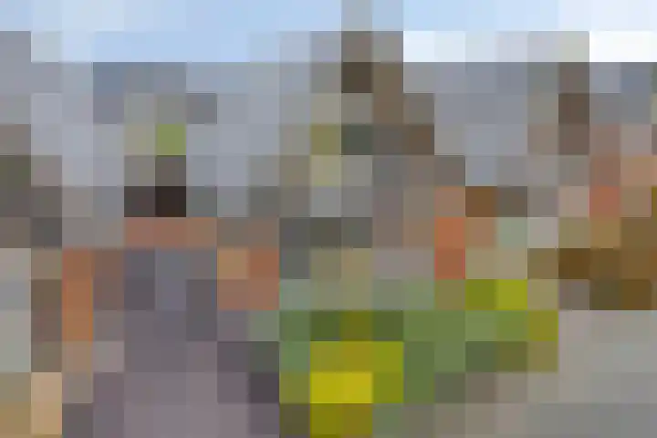 Mooiland 12 Groningen thumbnail 5