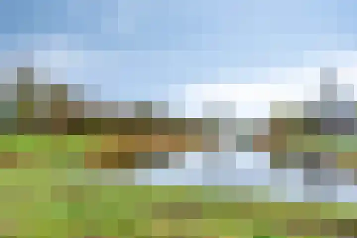 Mooiland 12 Groningen thumbnail 57
