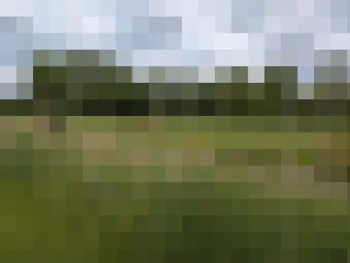 Mooiland 12 Groningen thumbnail 60
