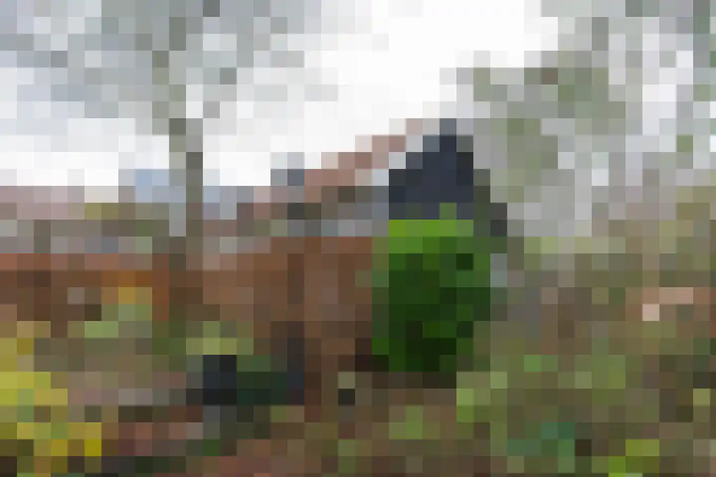 Mookhoek 117 a Mookhoek thumbnail 38