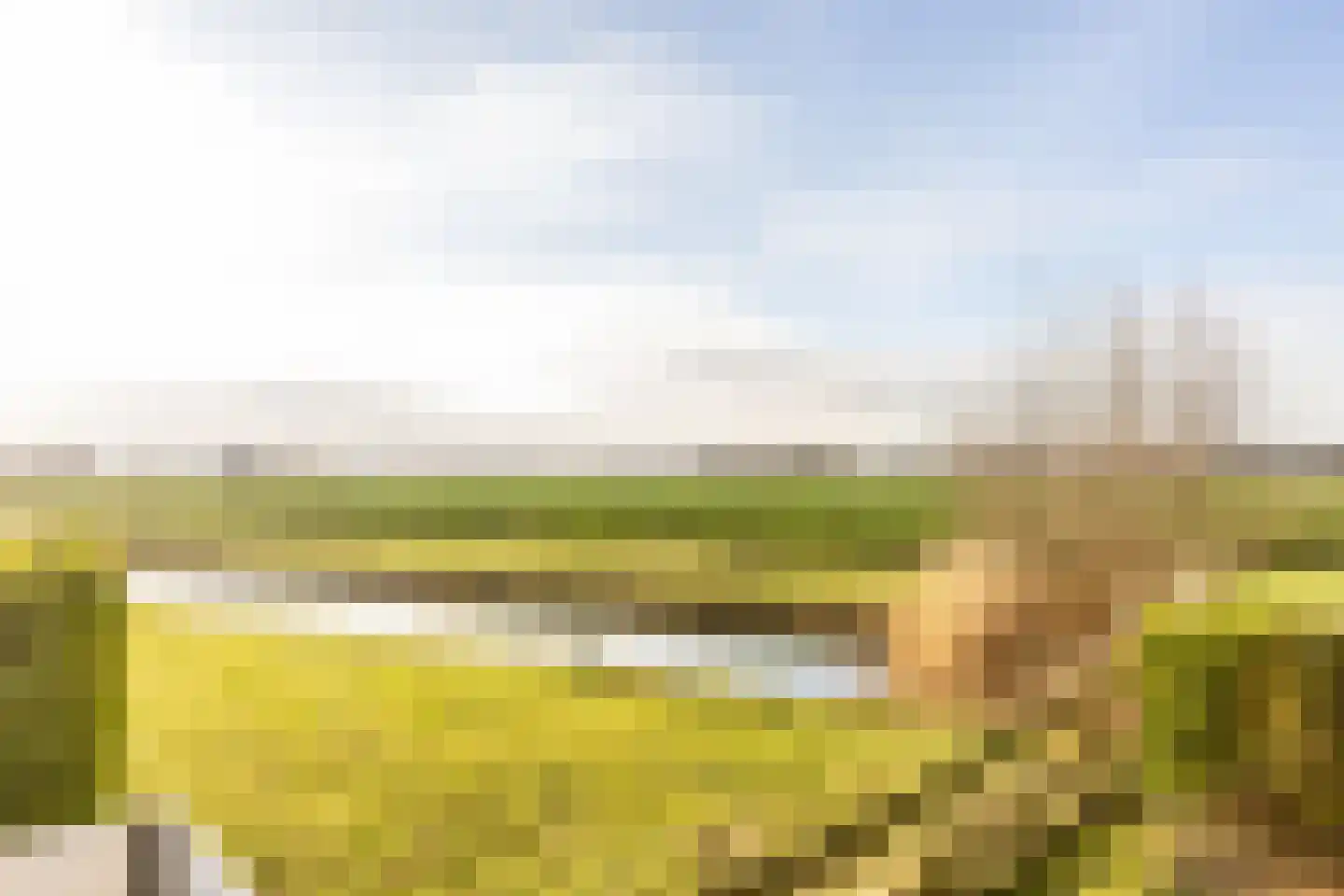 Mookhoek 32 Mookhoek thumbnail 39