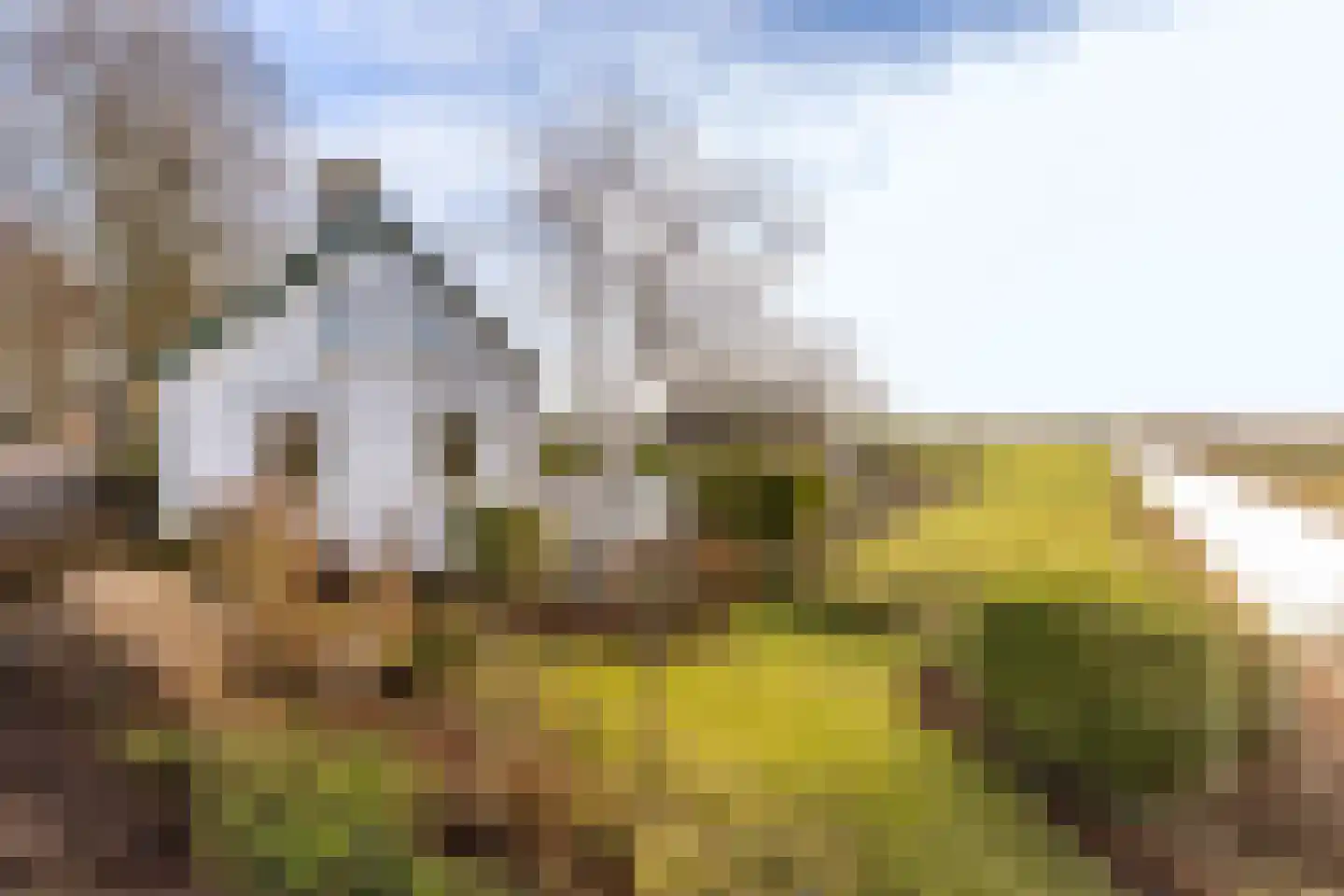 Mookhoek 32 Mookhoek thumbnail 45