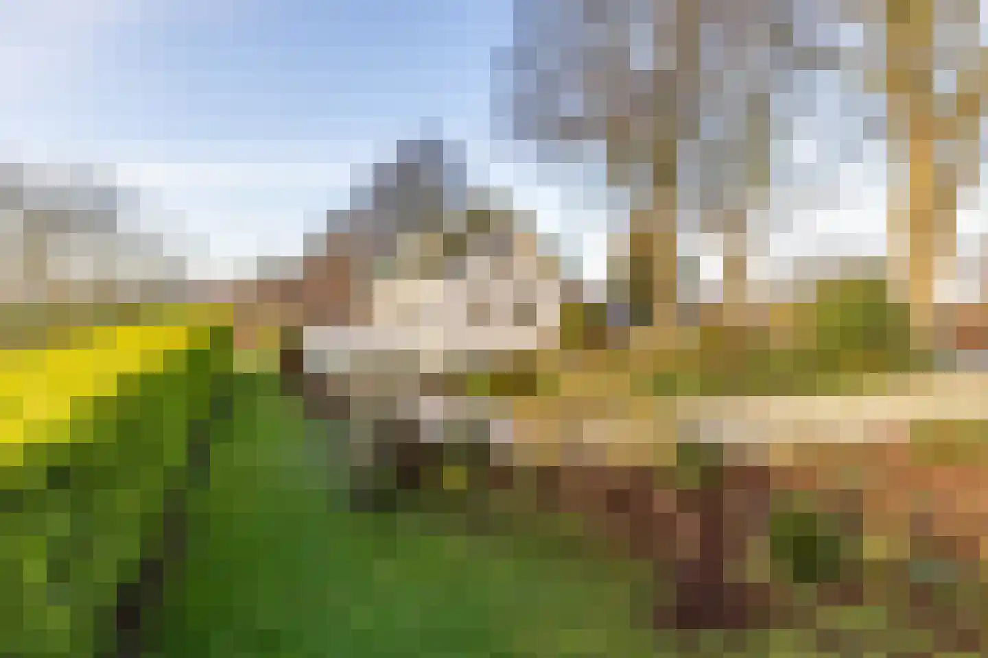 Mookhoek 32 Mookhoek thumbnail 47