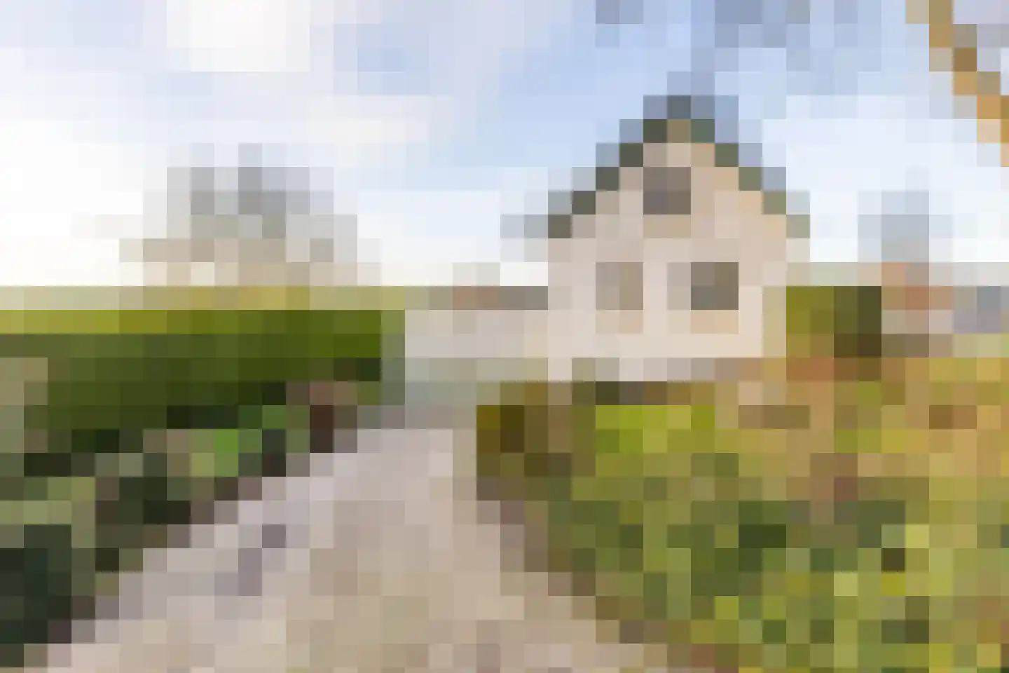 Mookhoek 32 Mookhoek thumbnail 48