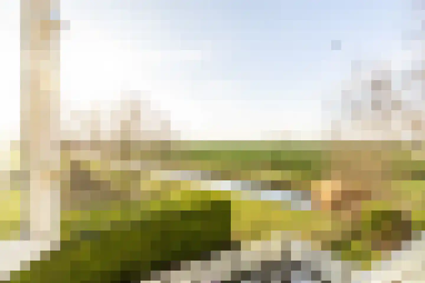 Mookhoek 32 Mookhoek thumbnail 5