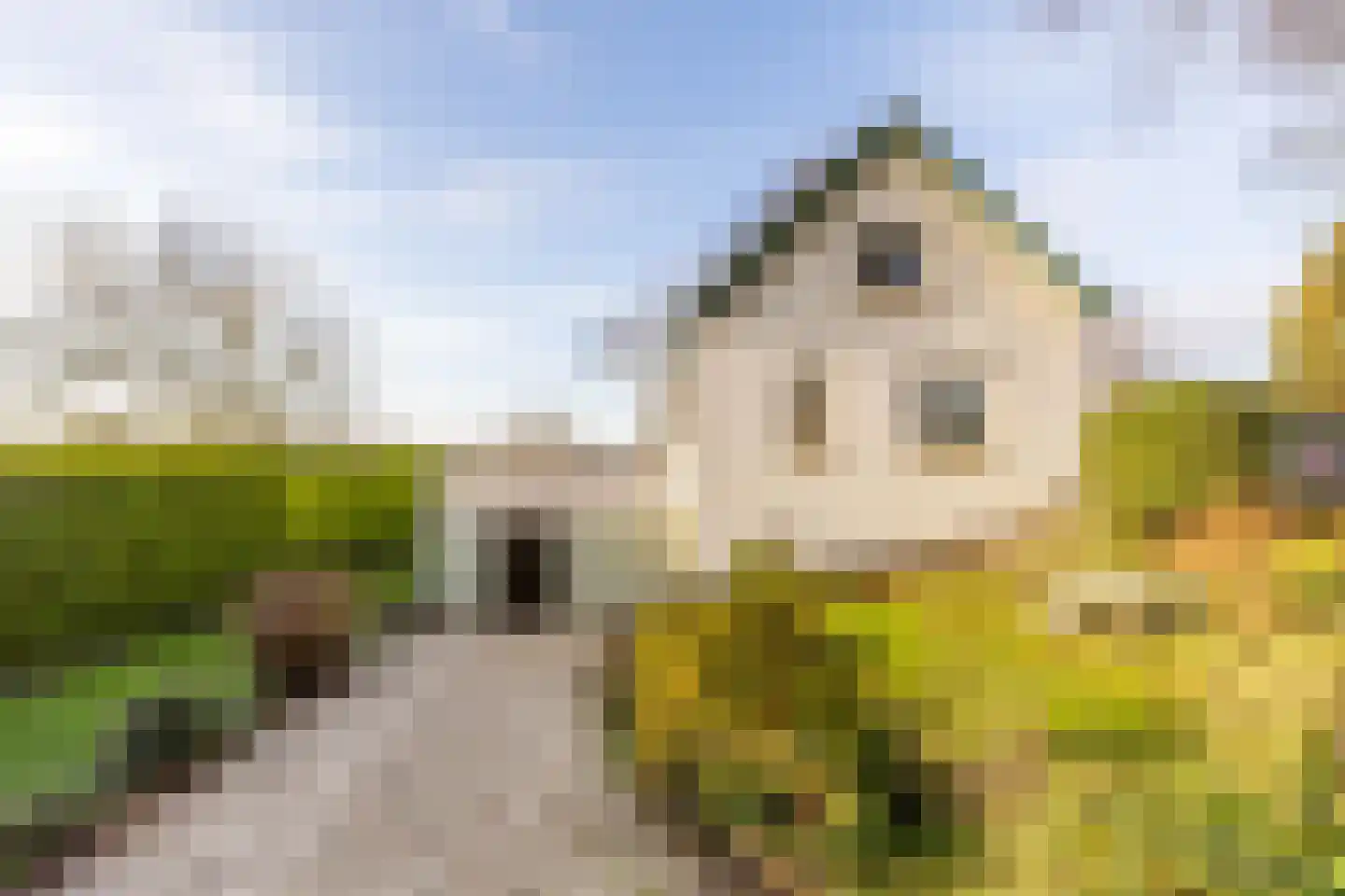 Mookhoek 32 Mookhoek thumbnail 6