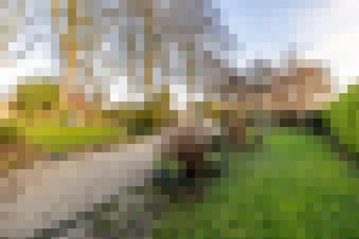 Mookhoek 32 Mookhoek thumbnail 7