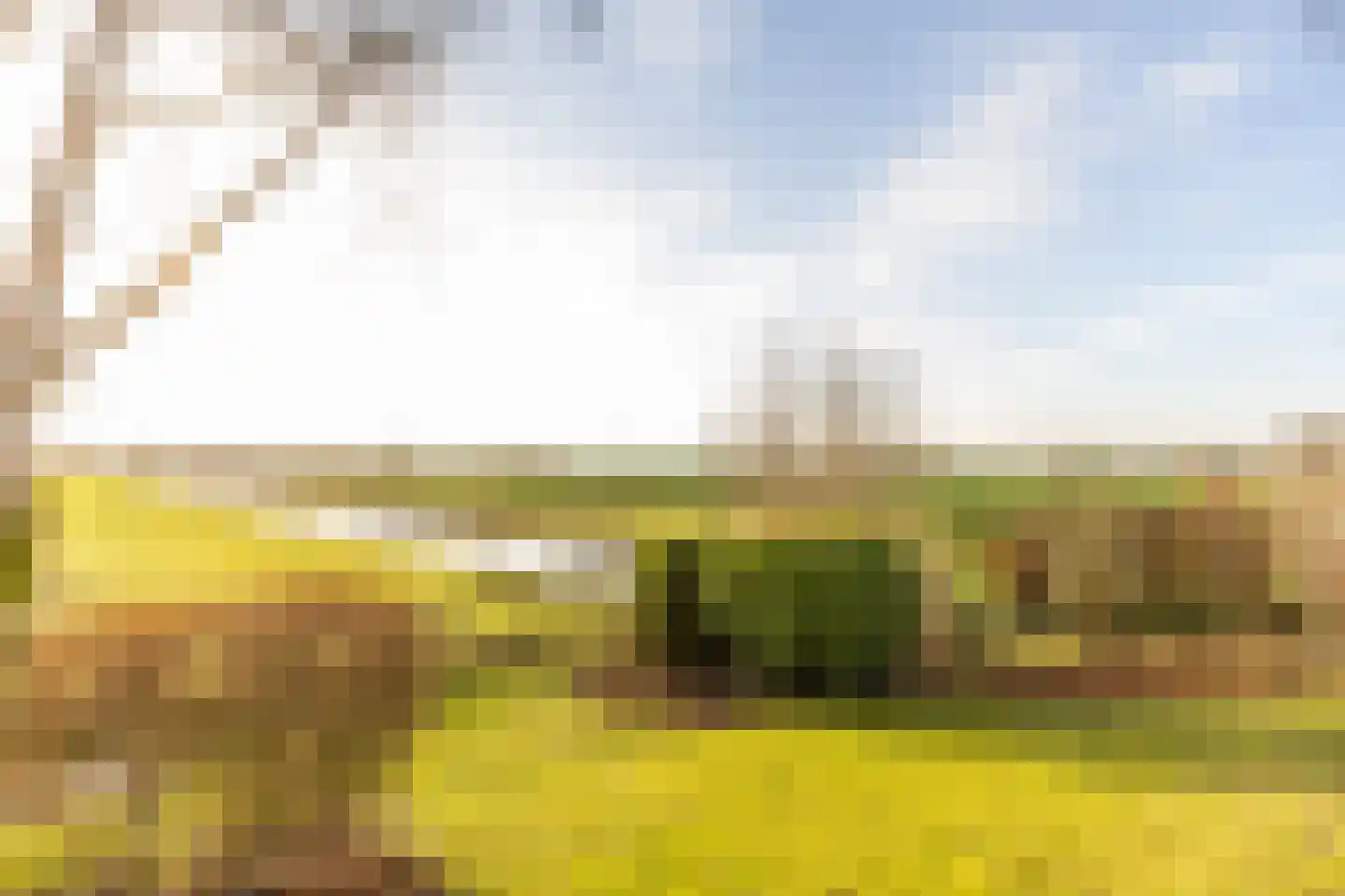 Mookhoek 32 Mookhoek thumbnail 8