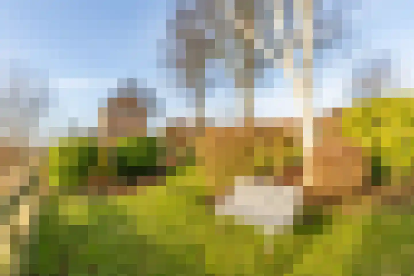 Mookhoek 32 Mookhoek thumbnail 9