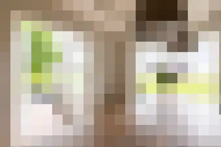 Mookhoek 43 Mookhoek thumbnail 17
